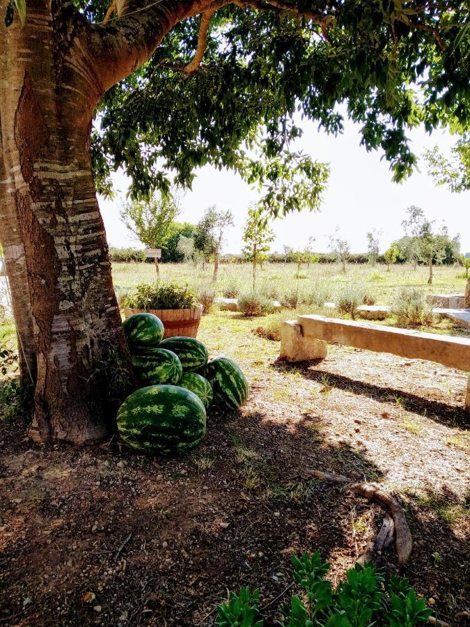 Masseria Cataldo Corigliano d'Otranto Exterior photo