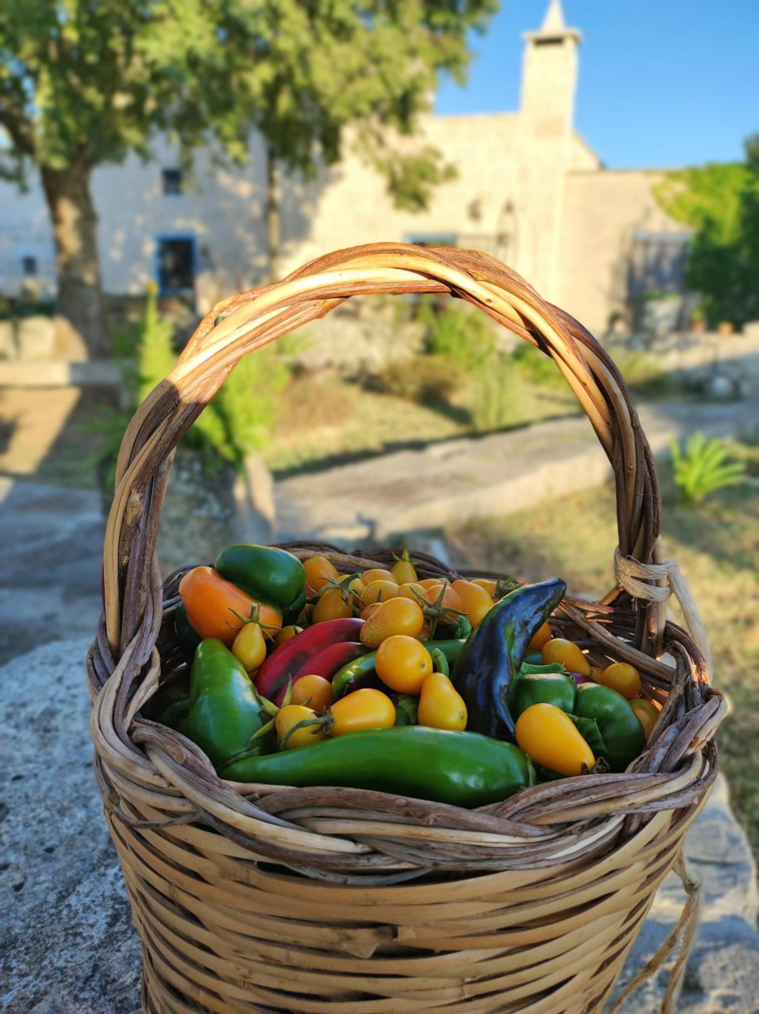 Masseria Cataldo Corigliano d'Otranto Exterior photo