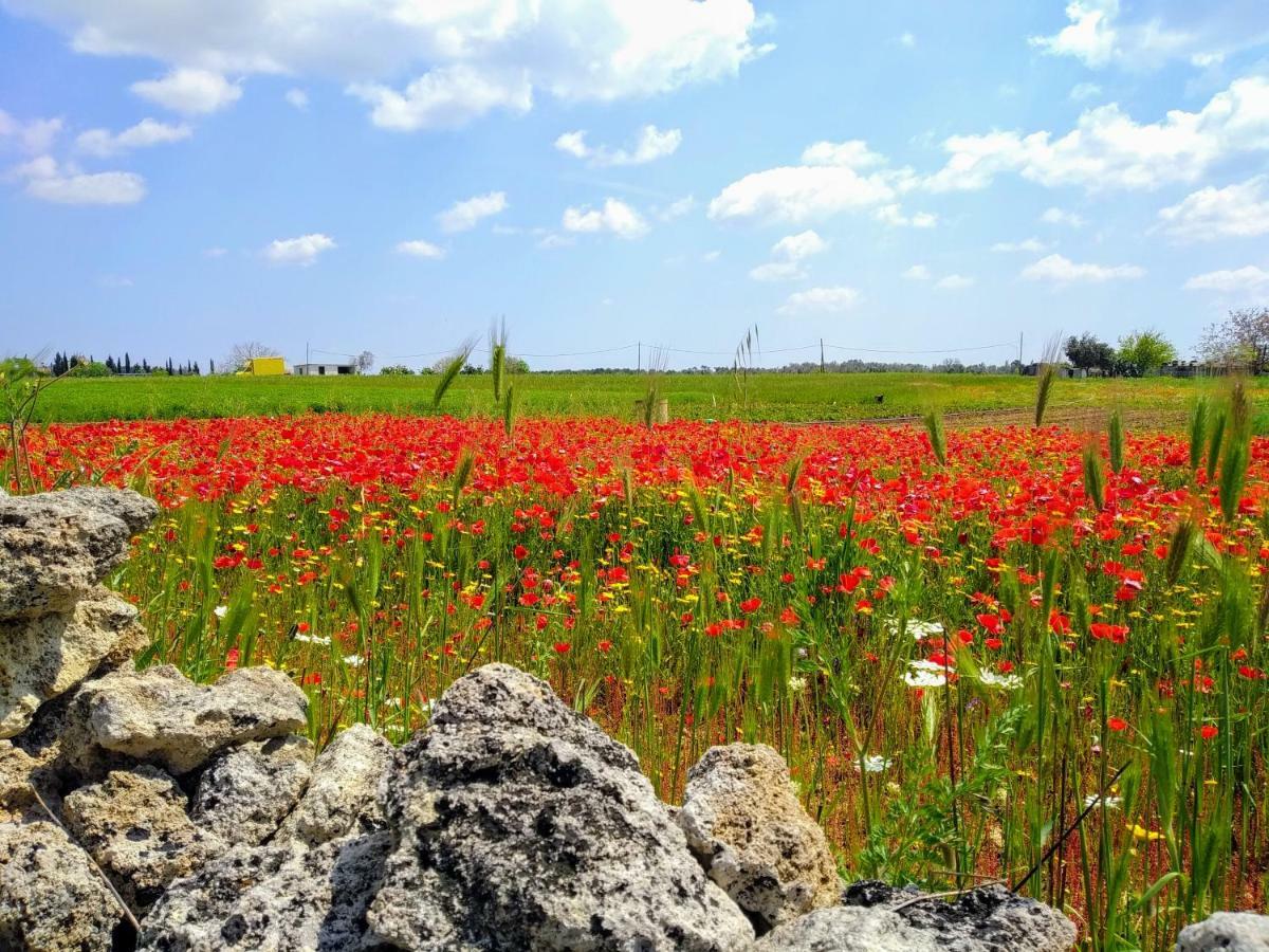 Masseria Cataldo Corigliano d'Otranto Exterior photo